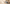 Promotion banner