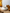 Claytan 24 Piece Dinner Set - City Gold - Baitishk