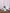 La Opala Classique Dinner Set, English Lavender - Baitishk