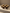 Ocean Nouveau Coffee Glass Set - Baitishk