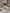 Zojirushi Press Down Airpots SR - CC - Baitishk
